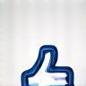 Facebook Icon